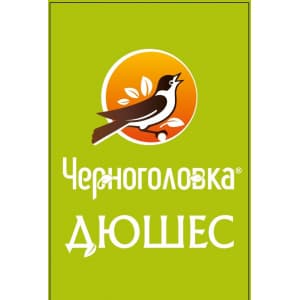 Концентрат для напитка ЧЕРНОГОЛОВКА Дюшес, 10л, BIB