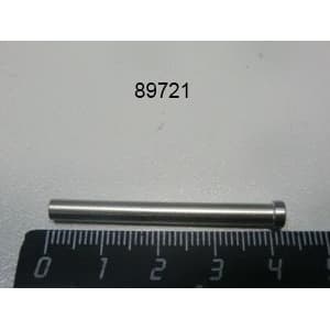 Стержень петли внутреннего стекла двери Lainox R58001770