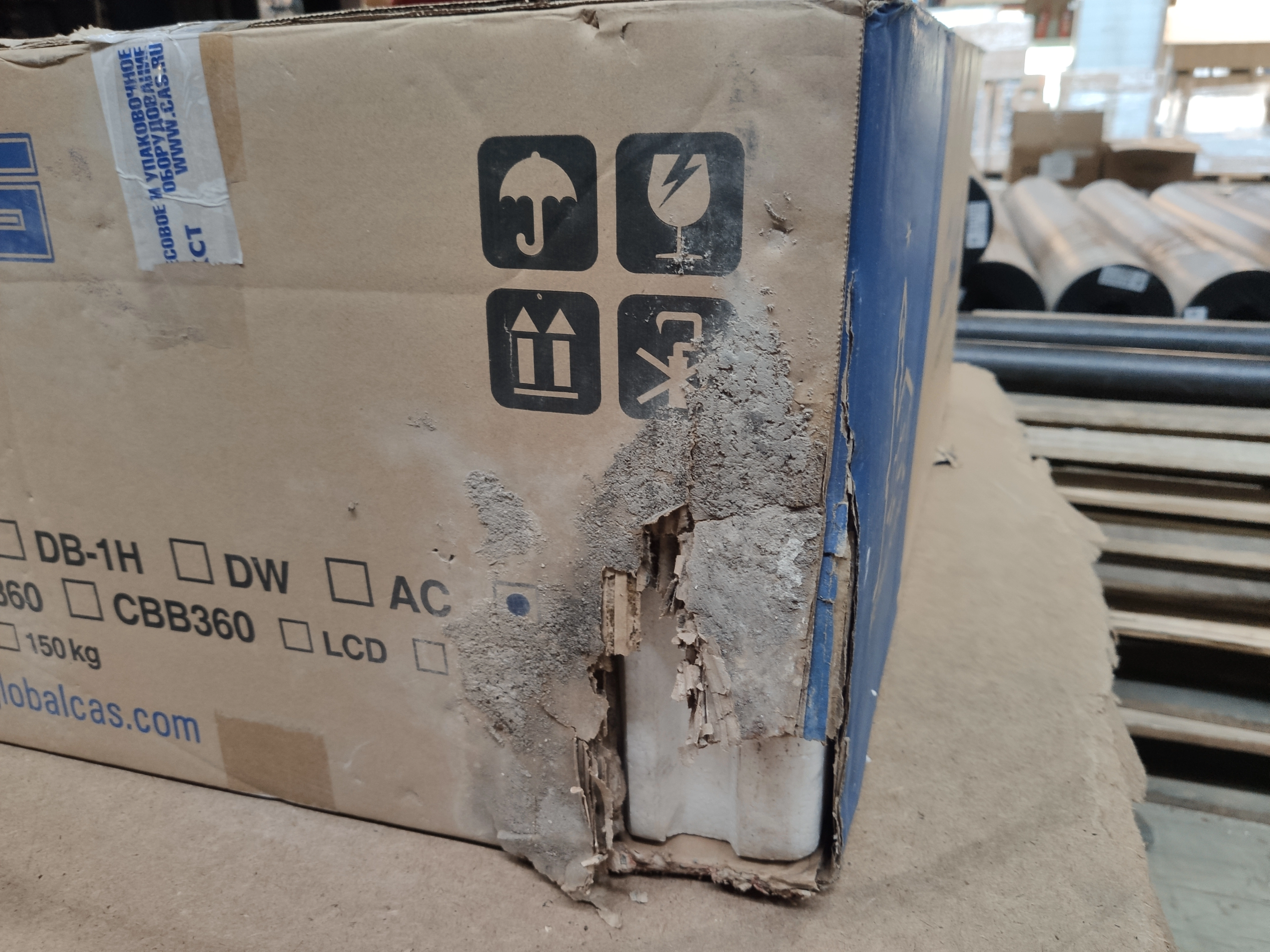 S01_Весы напольные CAS DL-150