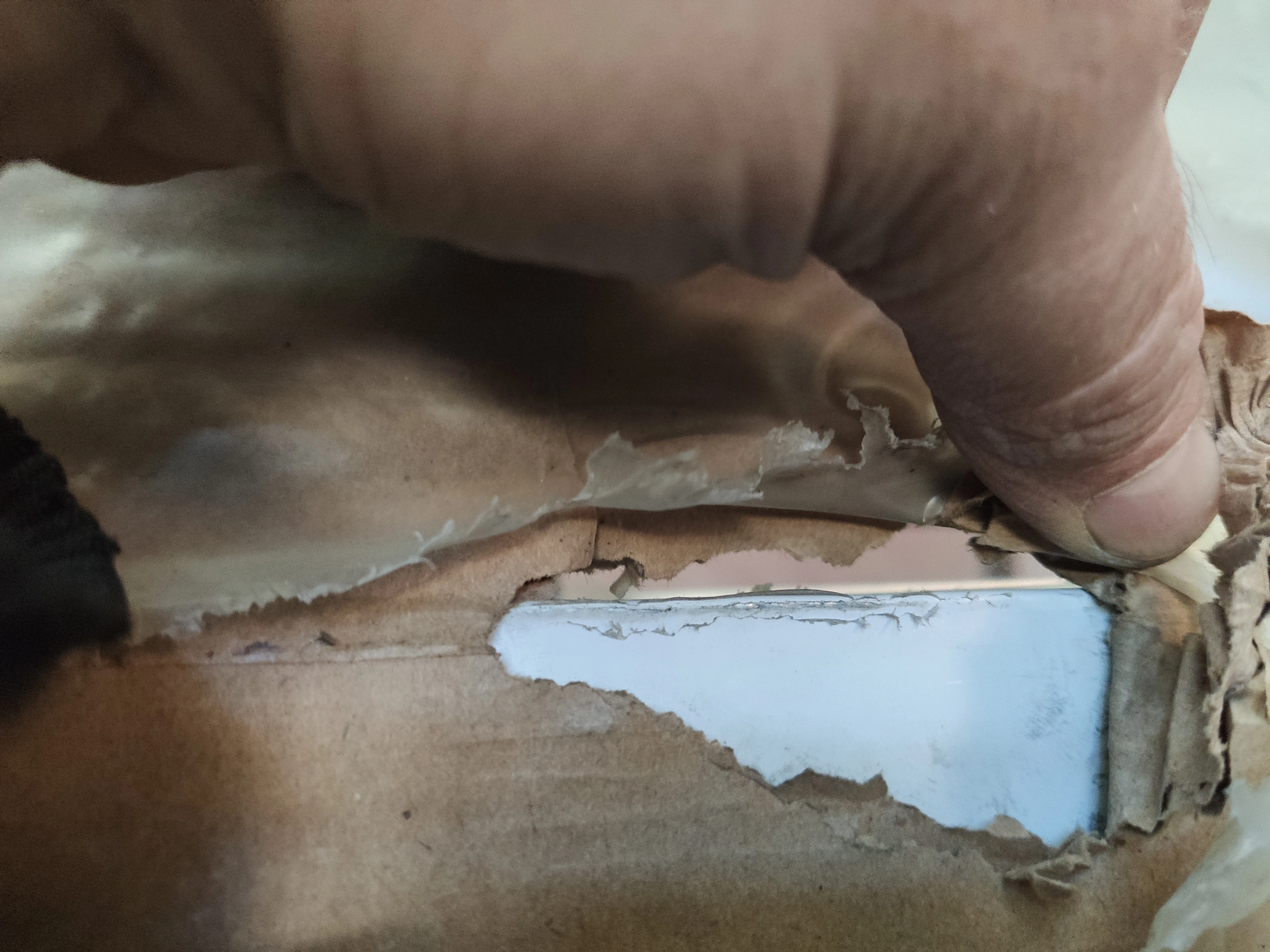 S01_Шкаф холодильный среднетемпературный R 1.4 – S